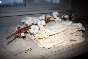 Bawełna organiczna: co to znaczy i czym różni się od zwykłej